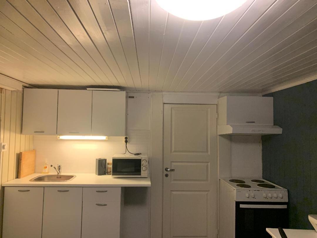 Ferienwohnung Trivelig Leilighet Gratis Parkering Pa Stedet! Porsgrunn Exterior foto