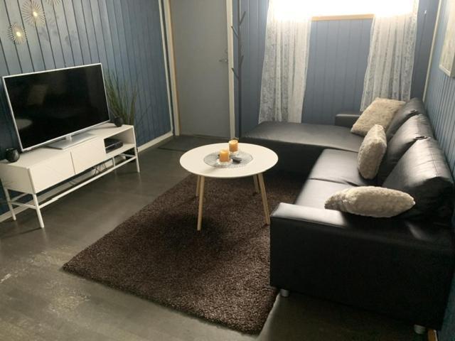 Ferienwohnung Trivelig Leilighet Gratis Parkering Pa Stedet! Porsgrunn Exterior foto