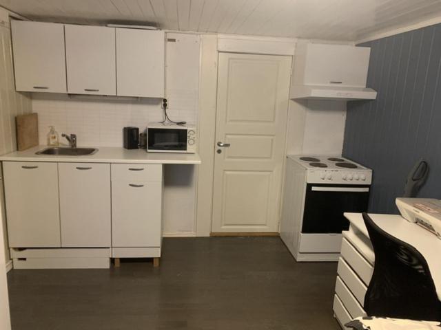 Ferienwohnung Trivelig Leilighet Gratis Parkering Pa Stedet! Porsgrunn Exterior foto